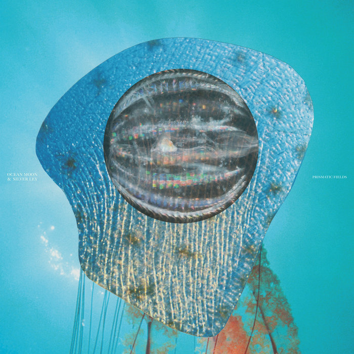Pochette de Prismatic Fields (Vinyl LP) par OCEAN MOON / SILVER LEY