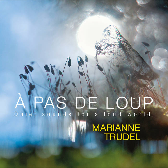 À pas de loup, Quiet sounds for a loud world
von Marianne Trudel, solo