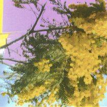 Four Tet — Into Dust (Still Falling)