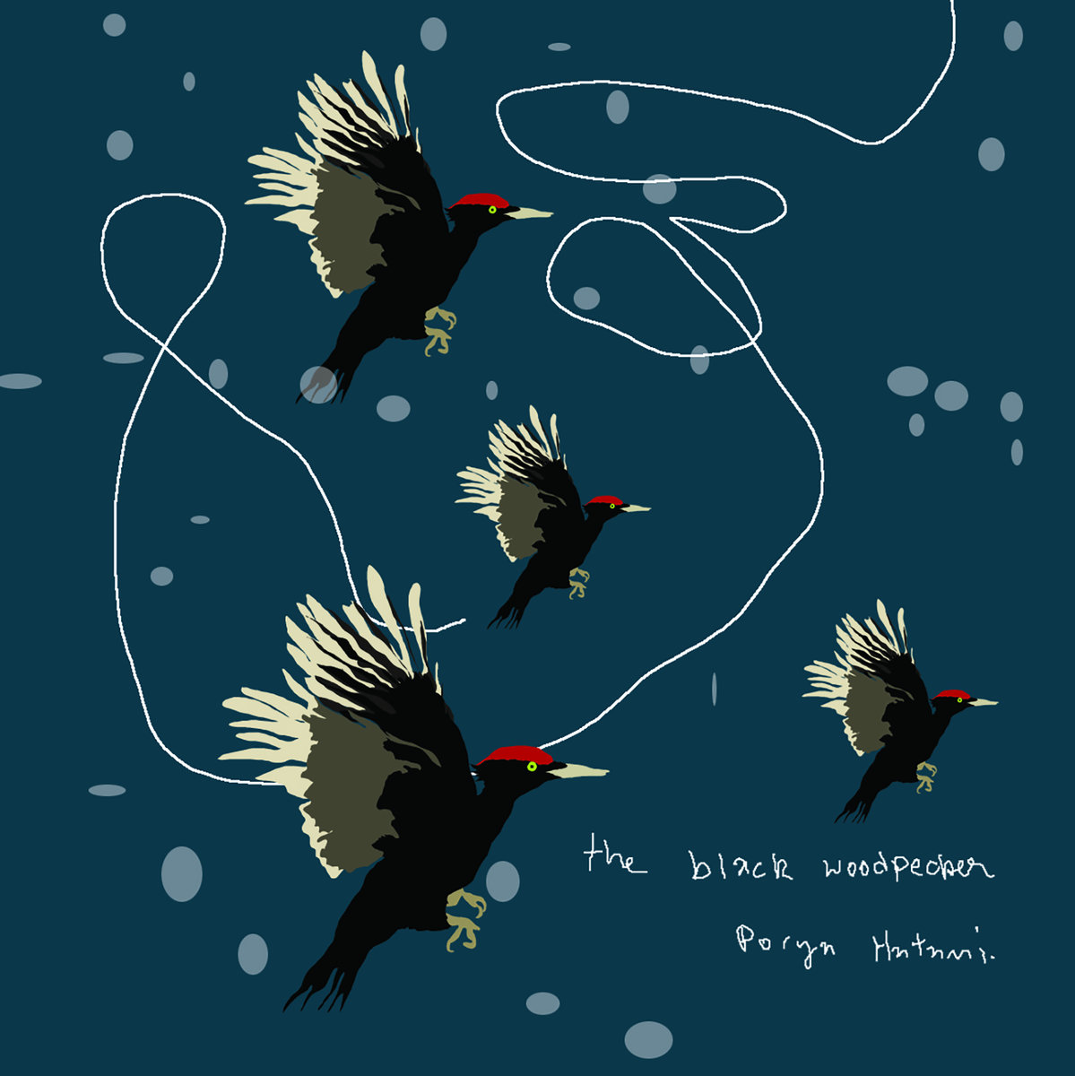 Birds of a Feather - Boxed set | Compilation | Flaming Pines