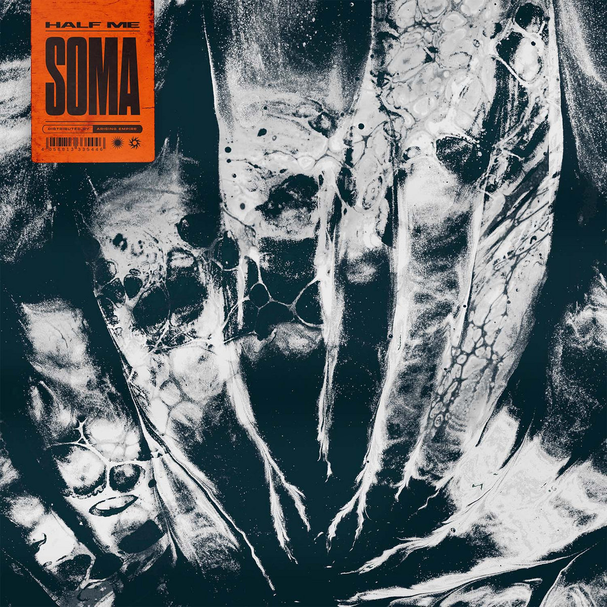 soma dreamriser