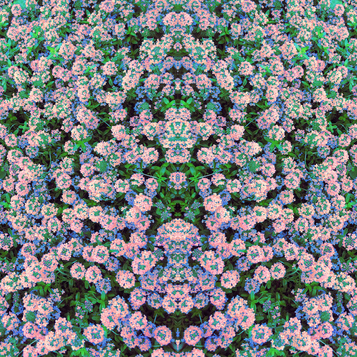 Braiding Fragments, by Sara Berts Cassette