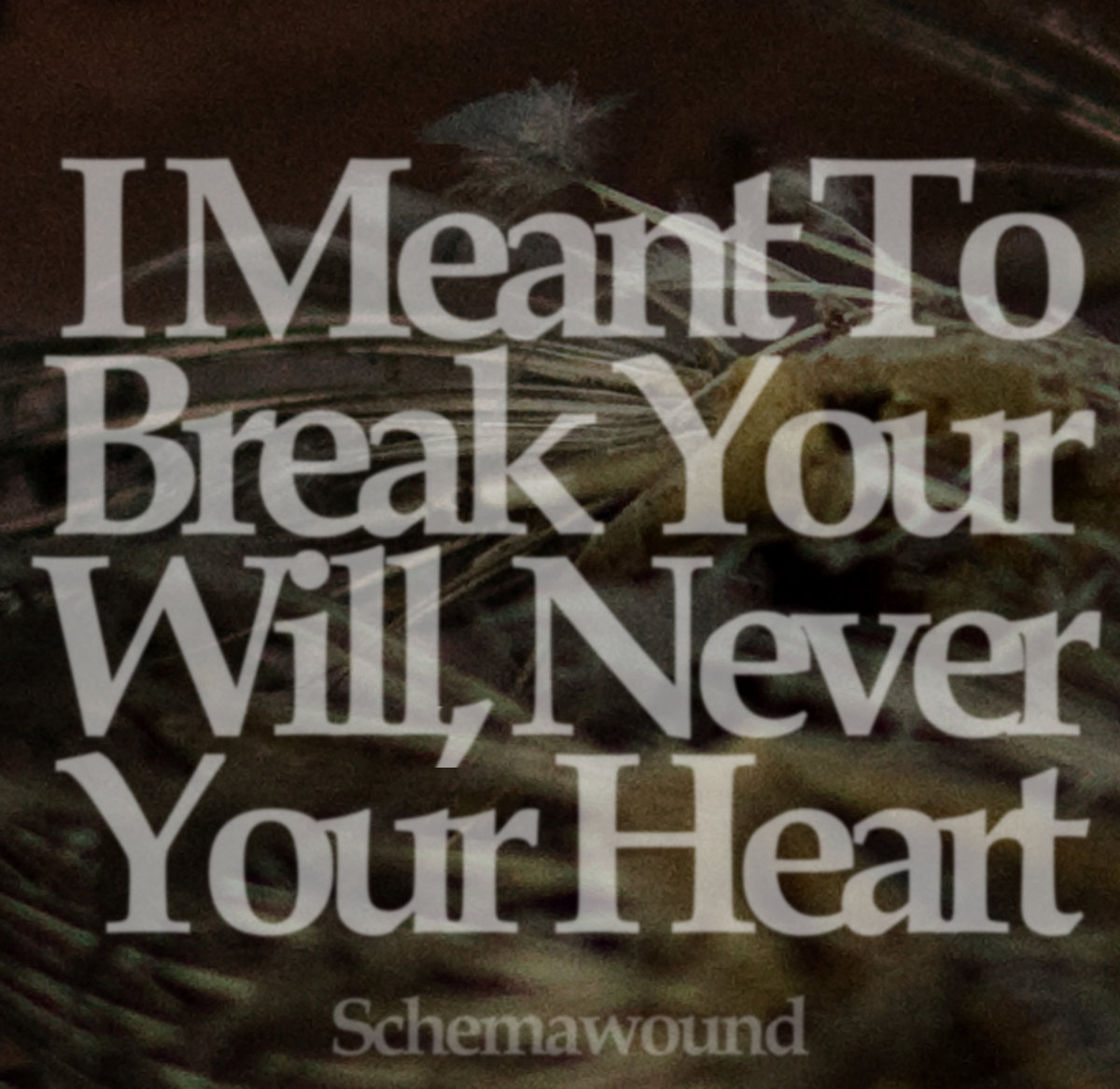 I Meant To Break Your Will, Never Your Heart Schemawound