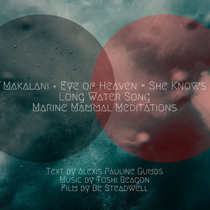 Makalani + Eye Of Heaven = She Knows by LongWaterSongAlexis Pauline Gumbs and Toshi Reagon cover