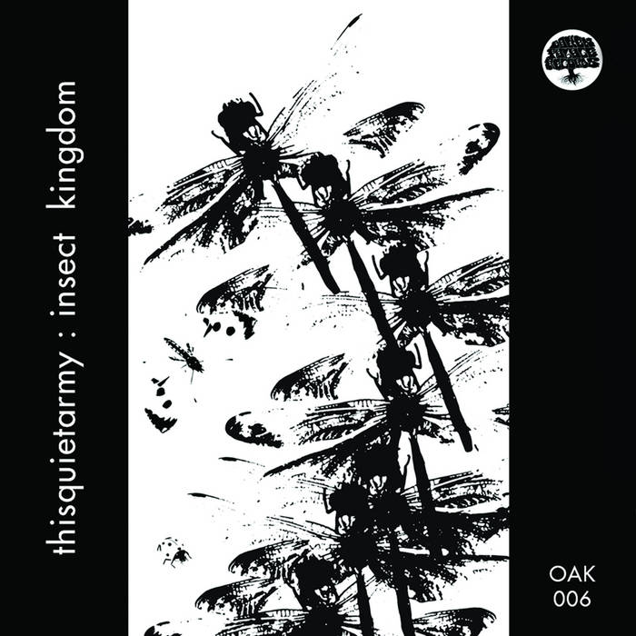 Insect Kingdom | thisquietarmy