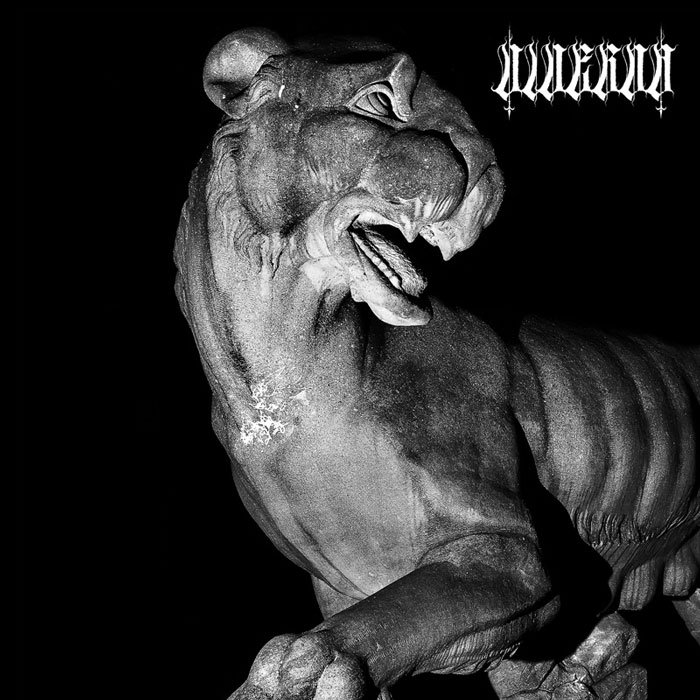 Viverna Viverna Kunsthauch