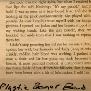 Plastic Boner Band cover