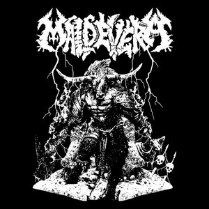 Voyager Destroyer cover