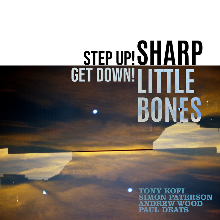 Pochette de Step Up! Get Down! par Sharp Little Bones