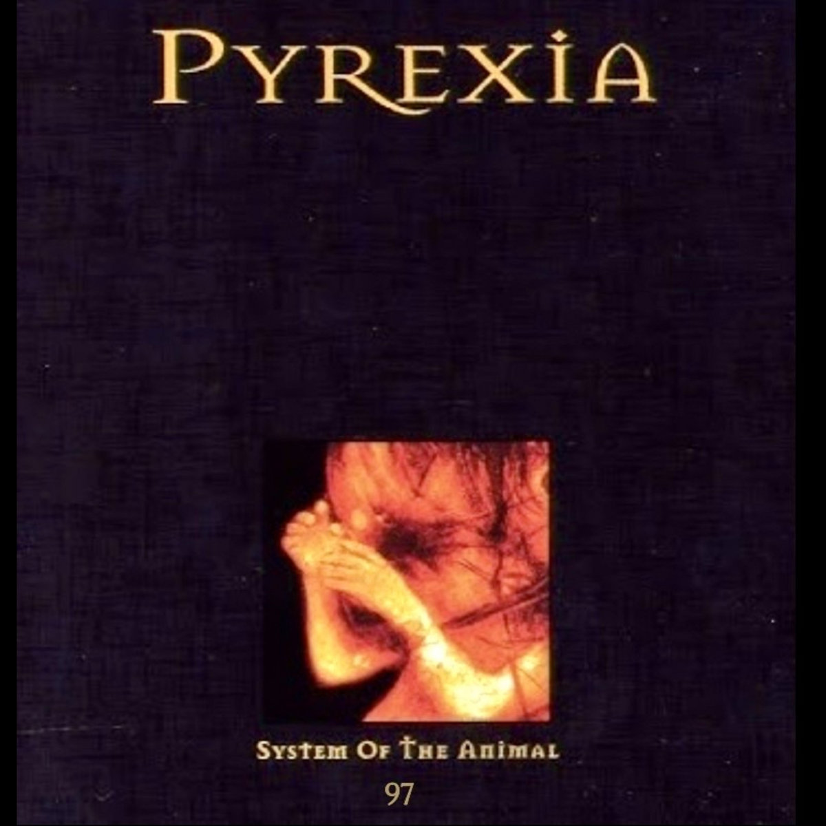 System of the Animal 97 | Pyrexia