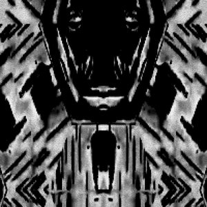 Untitled #13 cover