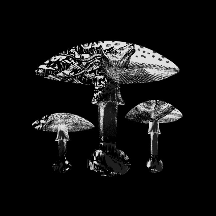 Woods Of Folklore | 3:72AM