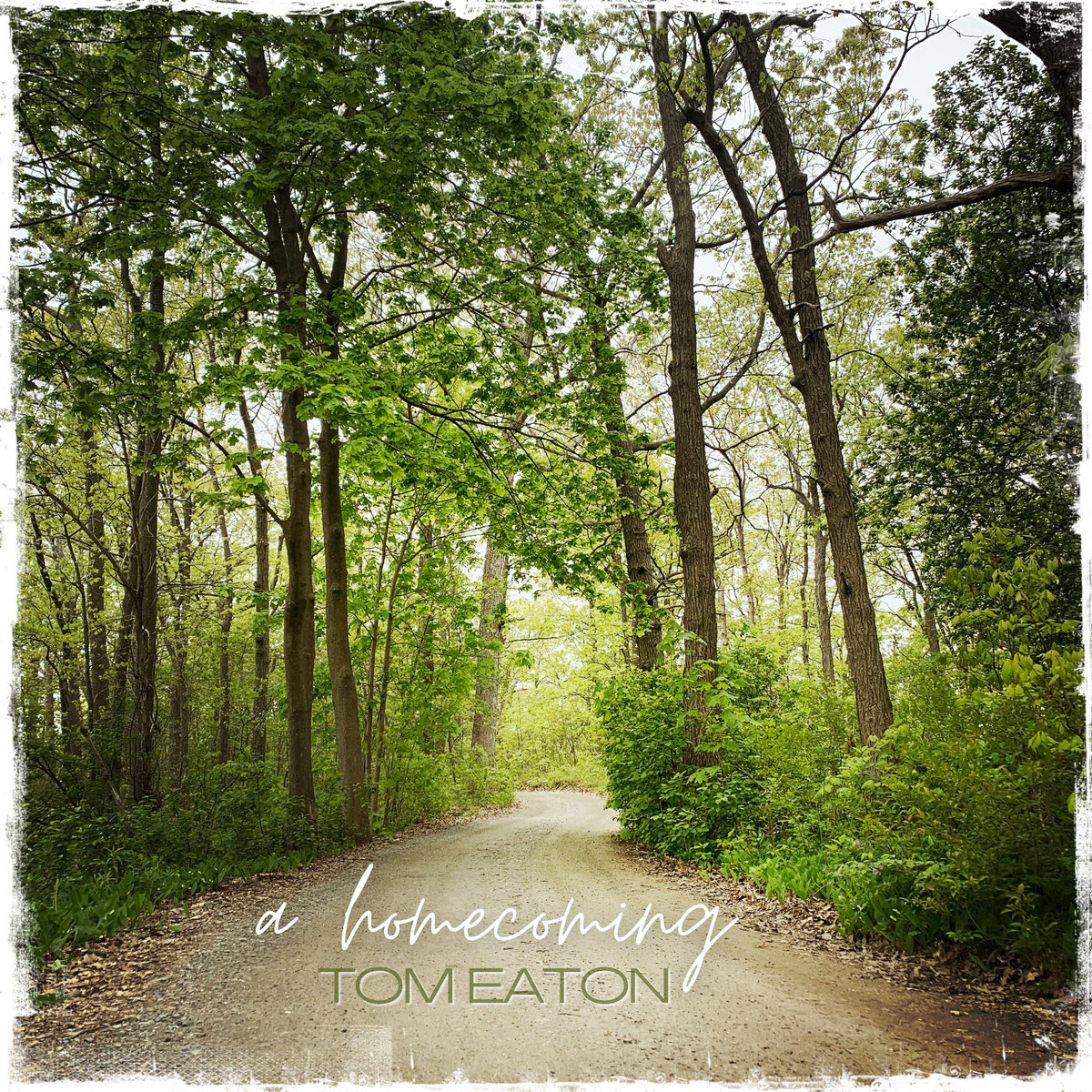 a homecoming (one hour environment)