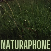 Naturaphone (feat. Rob Van Der Made) cover art
