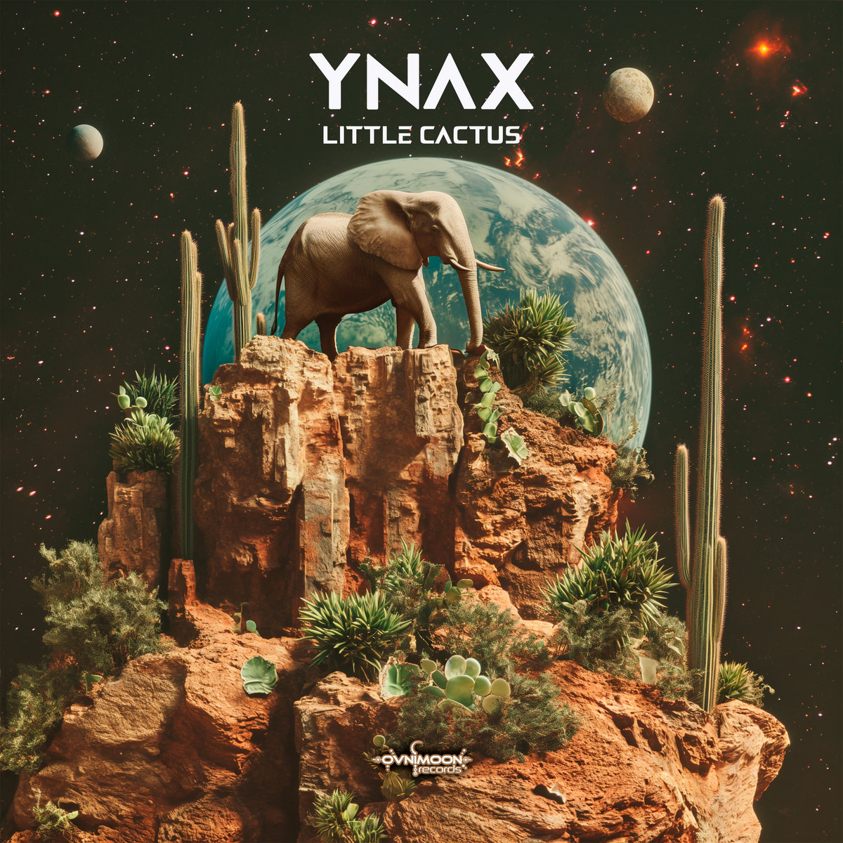 Ynax - Little Cactus (ovniep607 - Ovnimoon Records Ynax - Little Cactus (ovniep607 - Ovnimoon Records