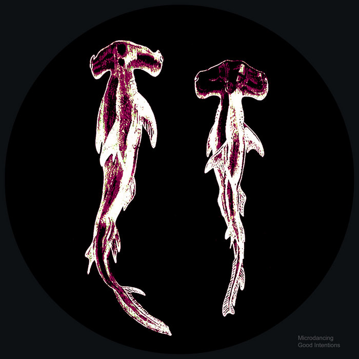 Microdancing - Good Intentions | Xelima Records