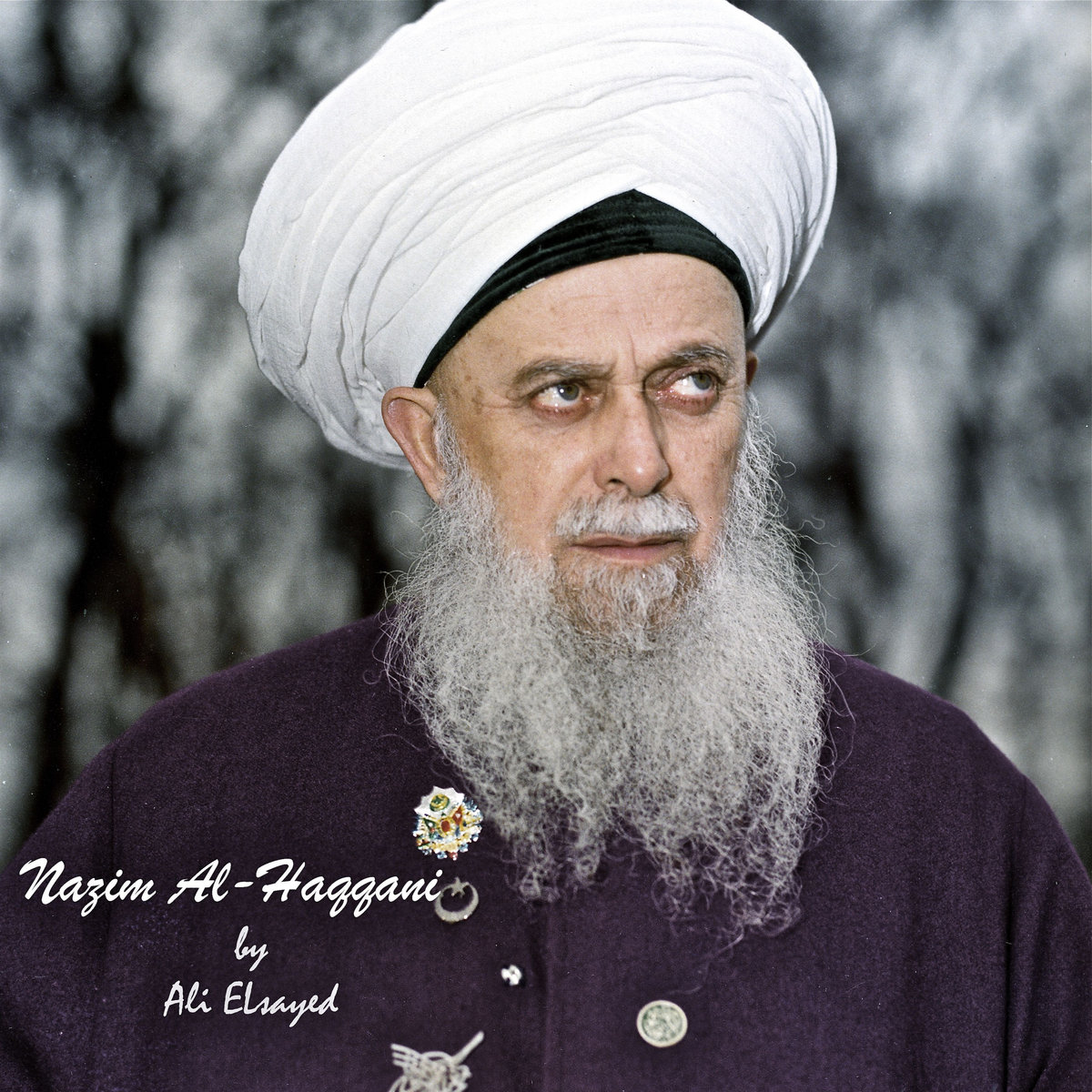 Nazim AlHaqqani Ali Elsayed