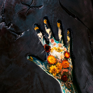 Blackoak cover