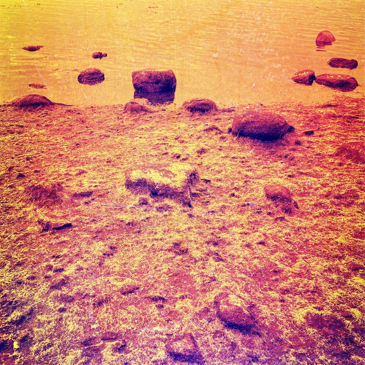 the-journey-distance-is-a-way-of-life