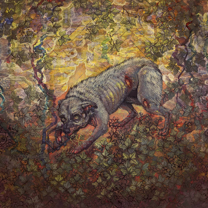 Nmkw S Collection Bandcamp What P For Survival Gift Given
