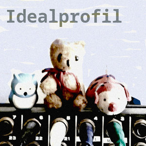EPIdealprofil cover