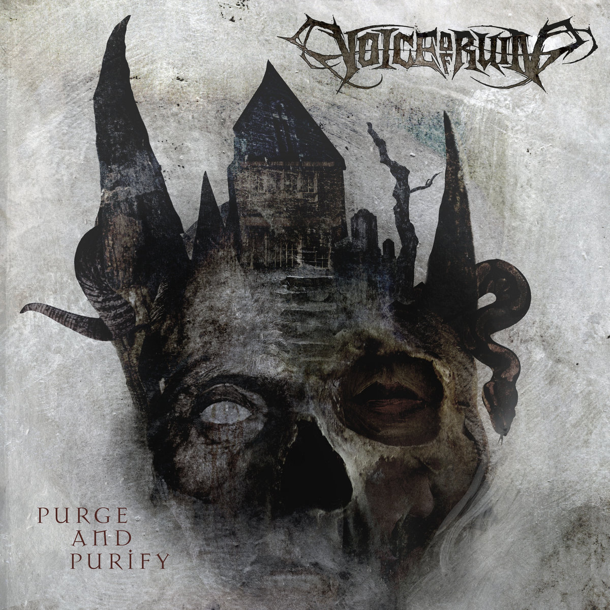 Voices Of Ruin - Path To Immortality (Vinyle Usagé)