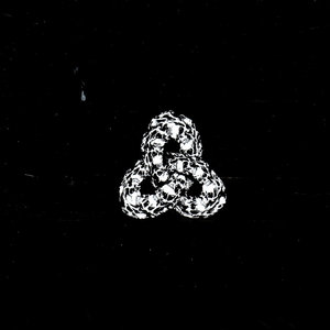 RAW Deluxe Edition Box Black Vinyls cover