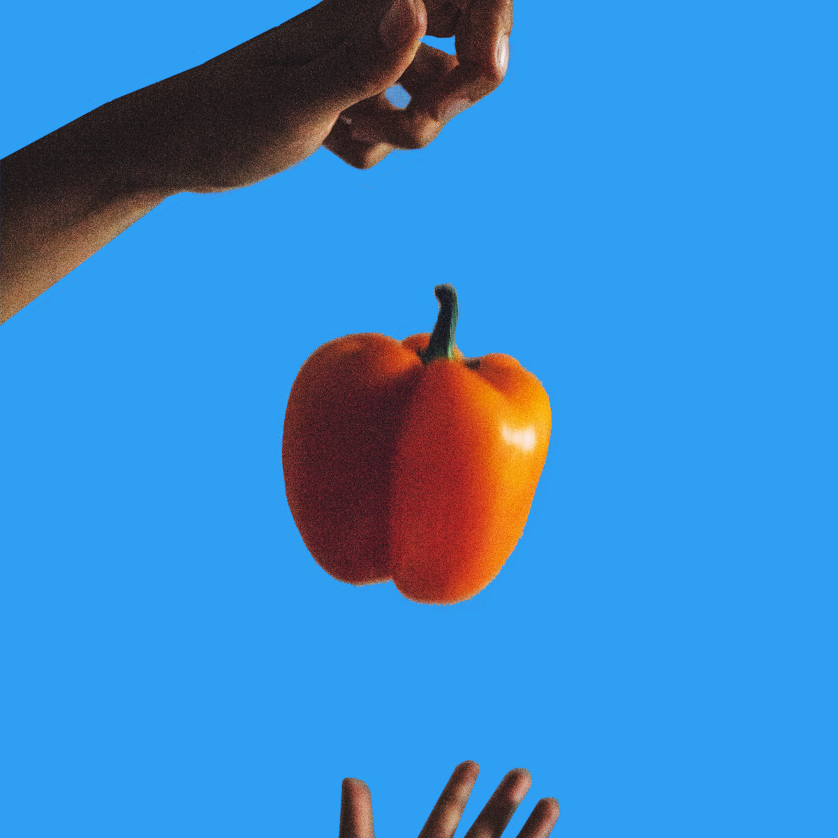 KOLA KOLA