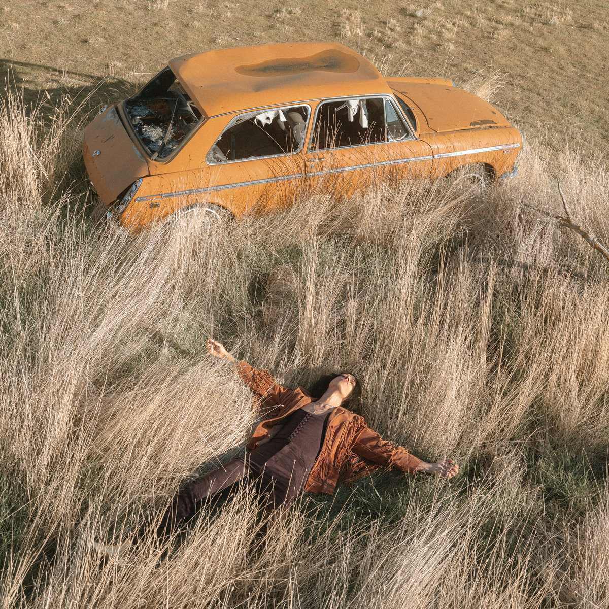 The Plow That Broke the Plains | Lawrence Rothman
