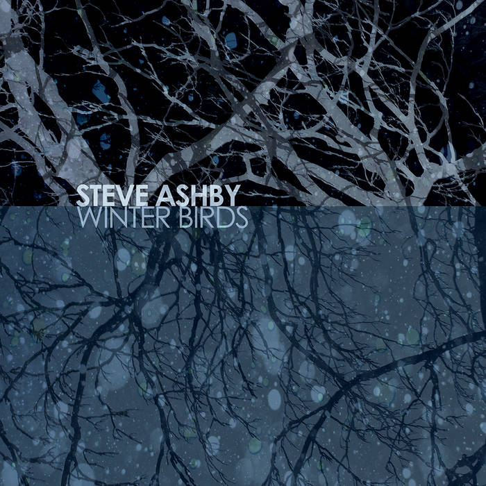 Winter Birds | Steve Ashby