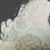11. tombleweed[prttype][TWRK].