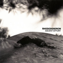 Rhododendron - Ascent Effort