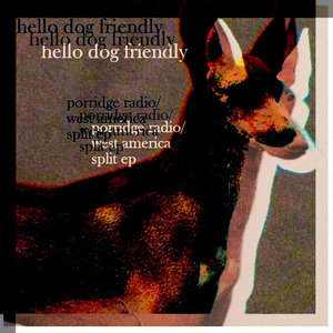 hello dog friendly (split w/ west america)Porridge Radio/West America cover