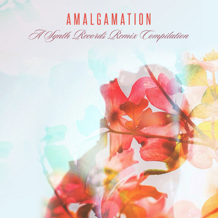 Amalgamation | Various Artists | Synth Records (Synthemesc Recordings)