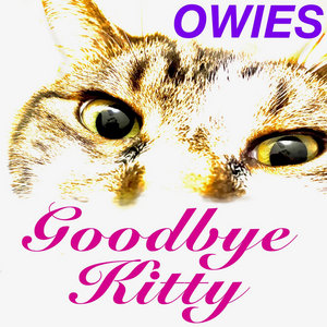 Goodbye Kitty cover