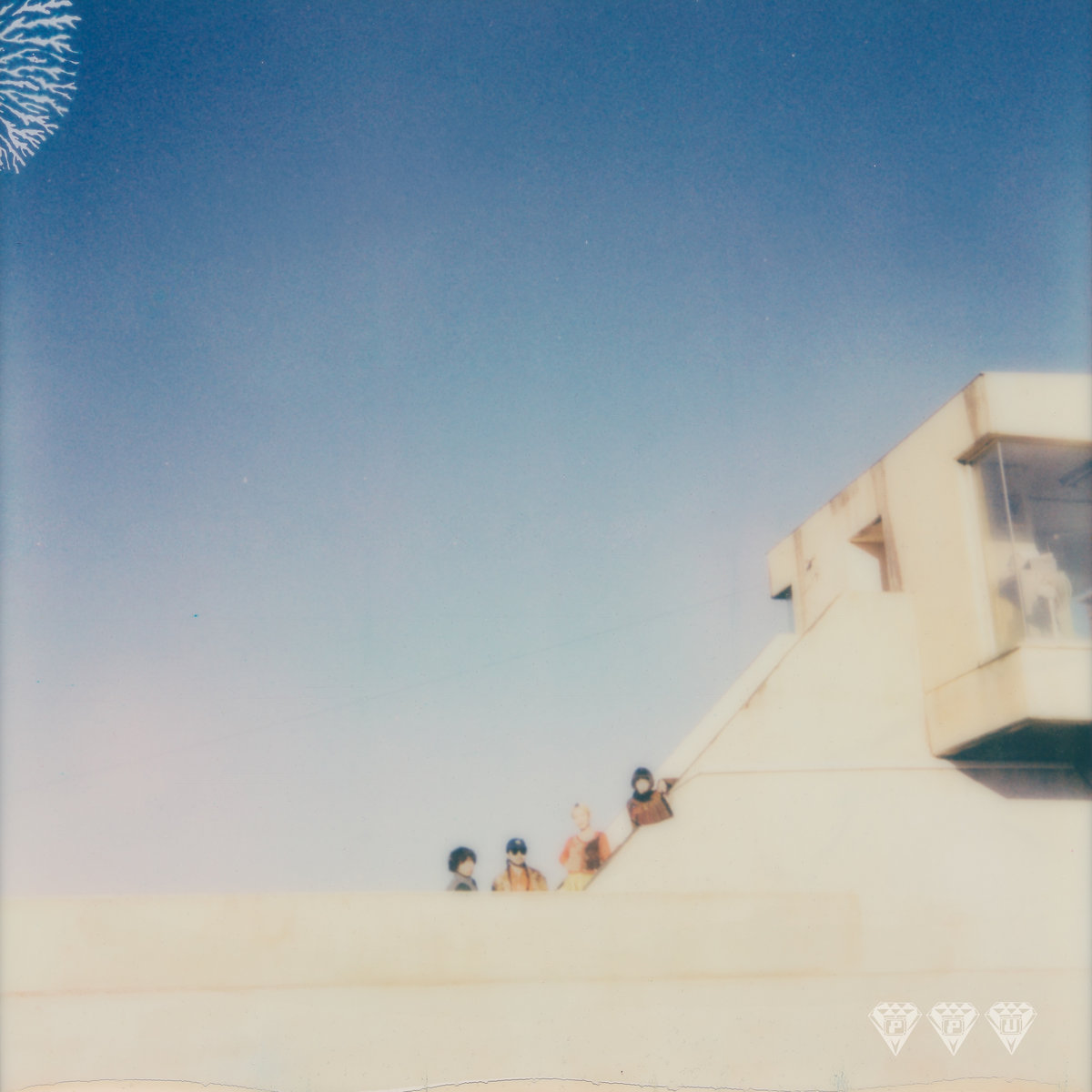 Where They Dwell | TAMTAM