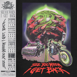 SEE YOU WHEN I GET BACK (Deluxe Edition) cover