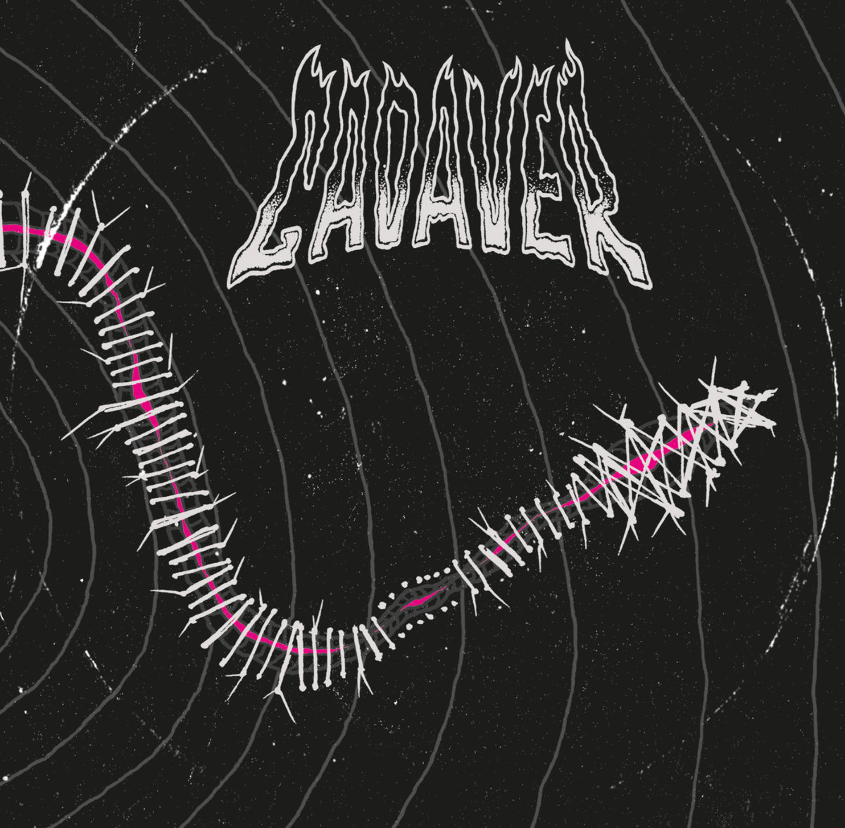 CADAVER | CADAVER