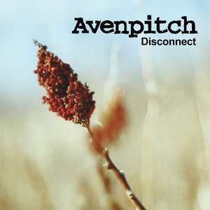 Avenpitch — Disconnect