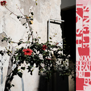 Now for the Real World EP cover