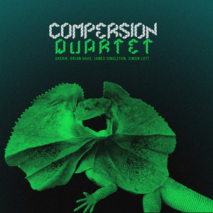 Skerik — Compersion QuartetSkerik, Brian Haas, James Singleton & Simon Lott