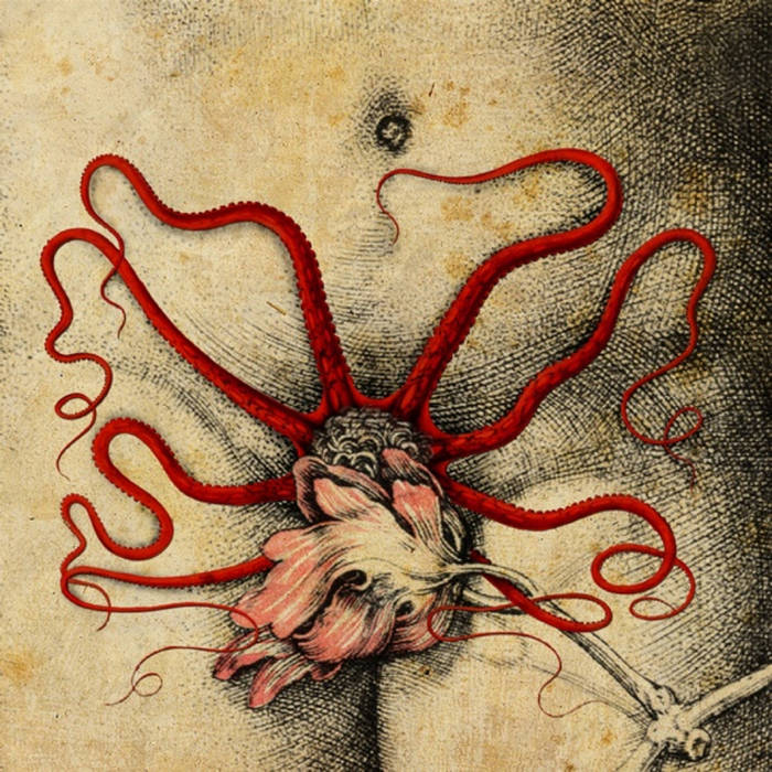 organon/Biche split LP cover art