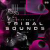 Offer Nissim Feat. Maya Simantov - Everybody Needs A Man (Brian Solis & Isak Salazar Remix)