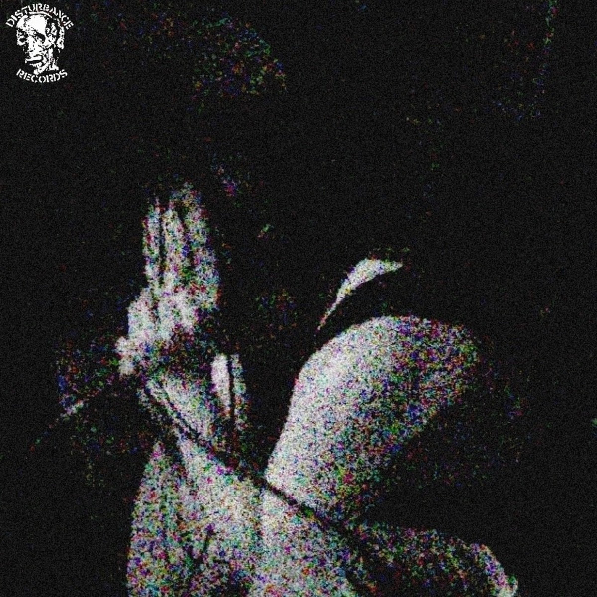 Acid hell report (acoustic version) | Rao Goat
