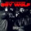 Cry Wolf