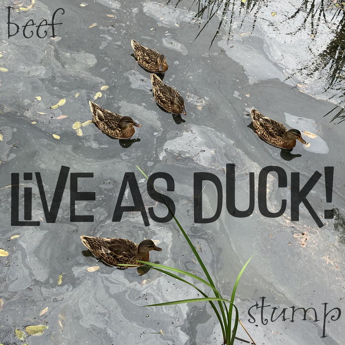 Live as Duck! | Beef and Stump