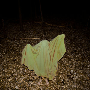 Deeply Flawed cover