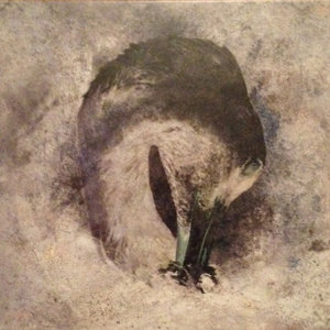 ASHES : reissue CD cover