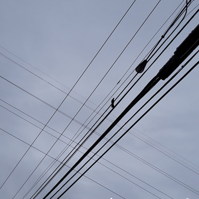 For Conduit Gallery in Dallas, TX Chaperone and Margaret Meehan Emmanuel Vincent Presents