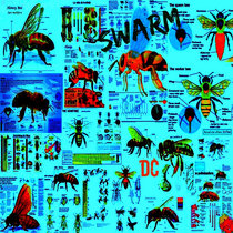 Swarm (Werker Beez) cover art